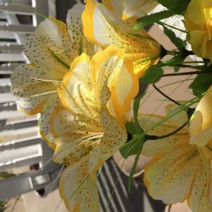 Meet your Posher, Valk4